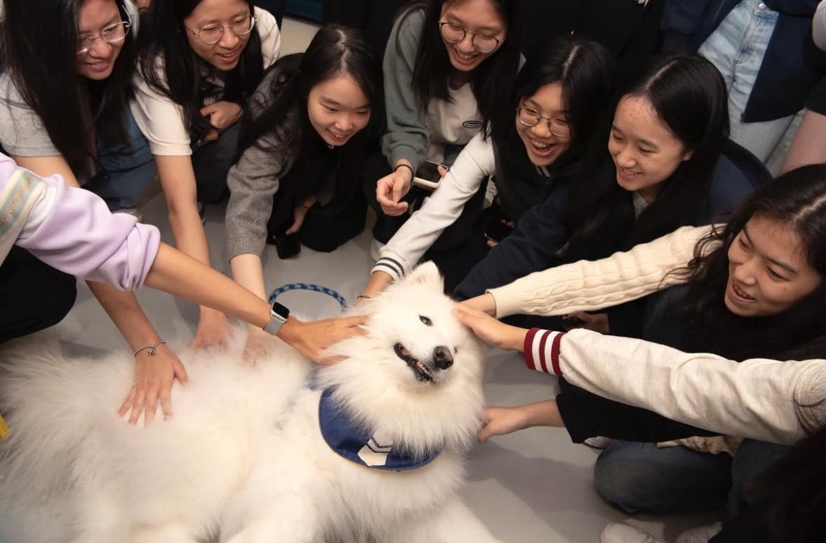 [잡담] 제노 입덕하고 강아지 사진 39482919392장 저장했다 | 인스티즈