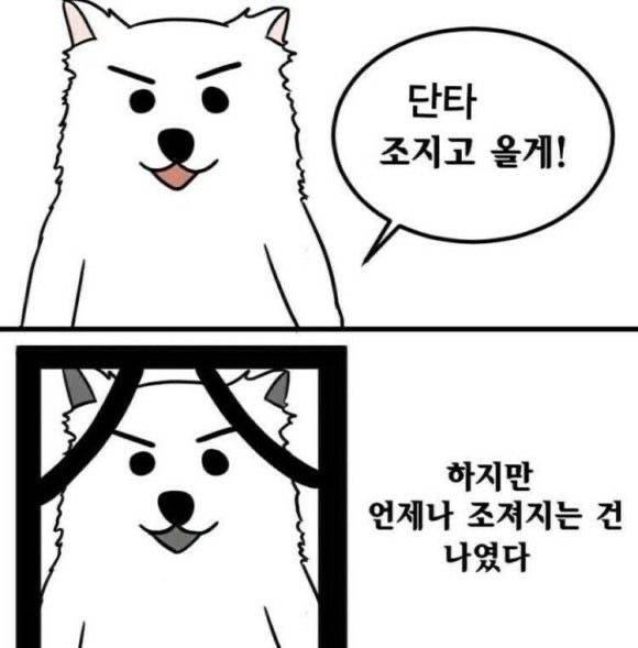 [잡담] 미국주식 시작하지 말걸... 시작하지 말걸... | 인스티즈