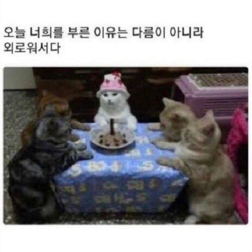 [잡담] 드림이들이랑 있을 때 자연스럽게 상석 앉는 마크 이거같음 | 인스티즈