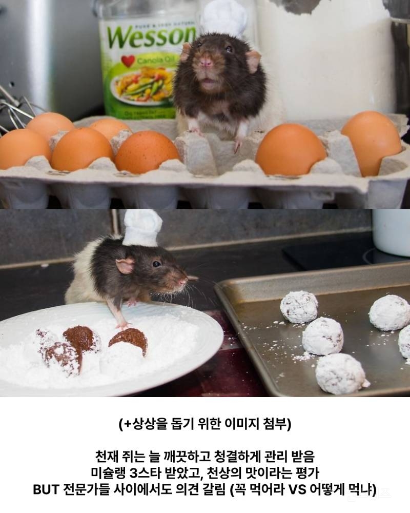 은근 갈린다는 쥐가 만든 음식 먹을 수 있다 VS 못 먹는다 | 인스티즈