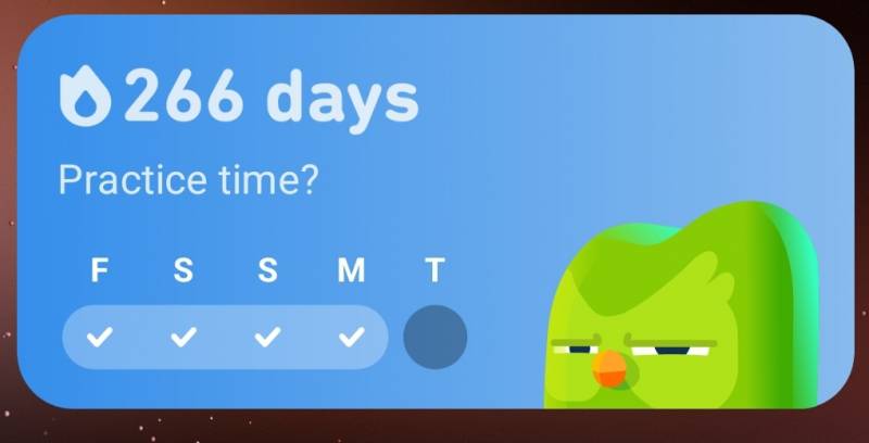 [잡담] 나 듀오링고 벌써 266일이나 했어 | 인스티즈