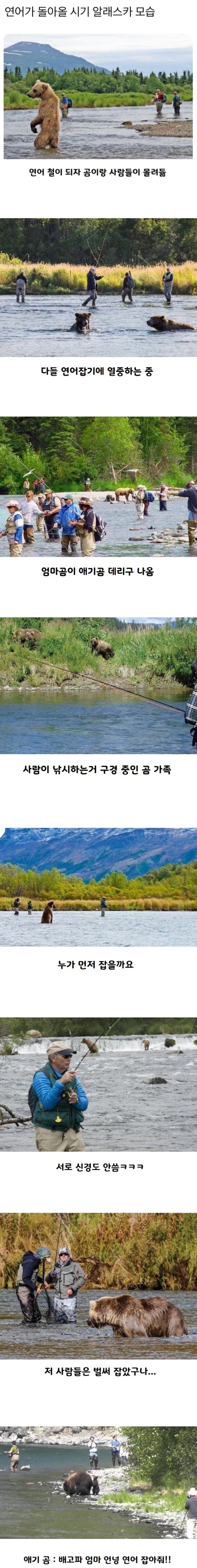 연어가 돌아올 시기 알래스카 모습.jpg | 인스티즈