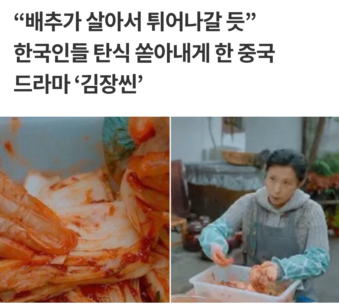 [마플] 중국이 김치가지고 을 안하면 파오차이라고 했어도 실수인갑다 했었겠지 | 인스티즈