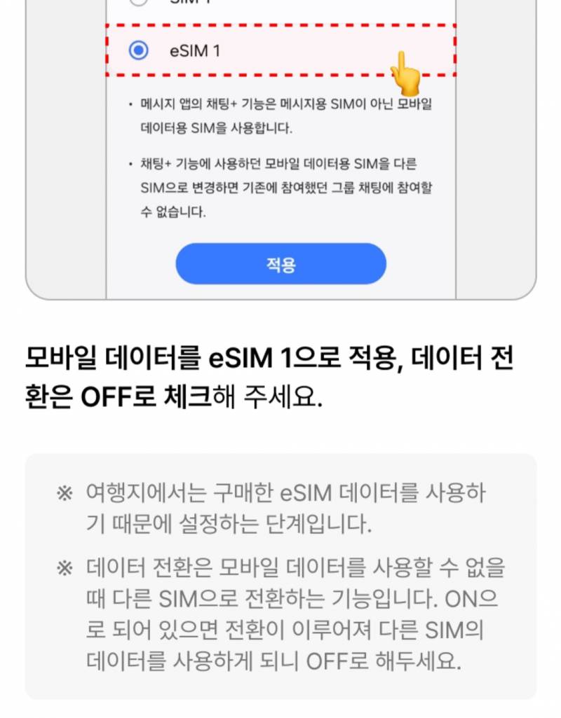 [잡담] 익들아 eSIM 연결할 때 이거 꼭 해야해? 도움좀주라😢😢 | 인스티즈