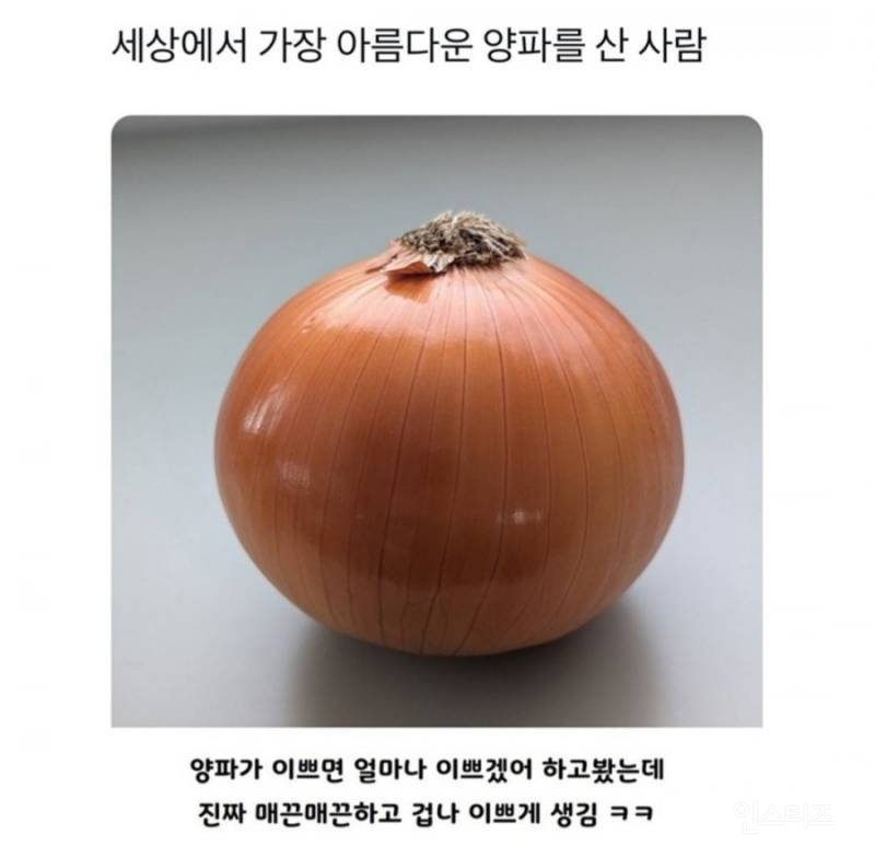 세상에서 가장 아름다운 양파를 산 사람 | 인스티즈