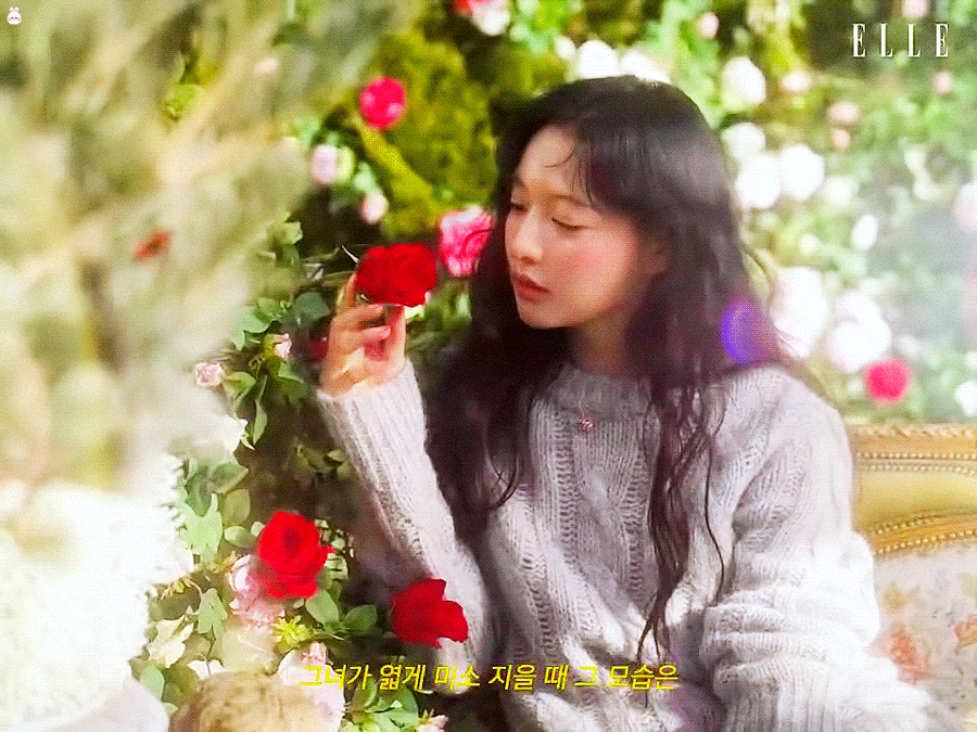 [잡담] 장미🌹 사이에 피어난 지원 | 인스티즈