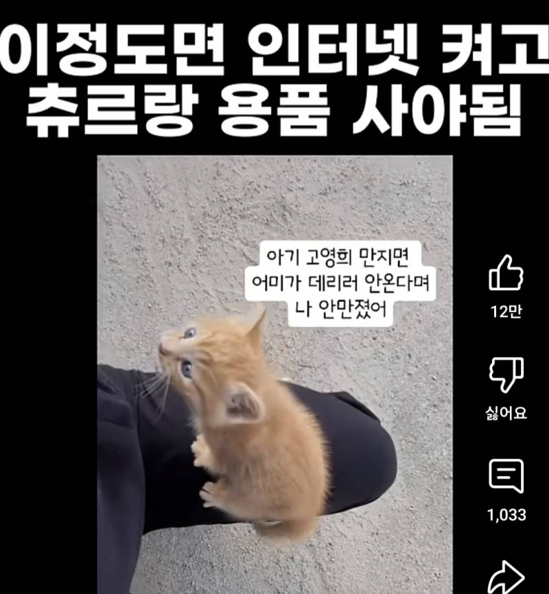 [잡담] 진짜 이러면 안데려올수가 없을듯 | 인스티즈