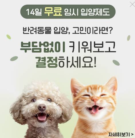 [잡담] ?? 아니 광고 이게 뭐야..? 이게 맞아..? | 인스티즈