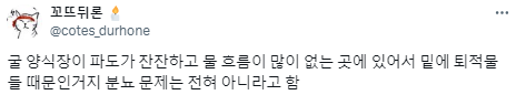 왜 굴을 먹으면 노로바이러스에 많이 걸리는 걸까.twt | 인스티즈