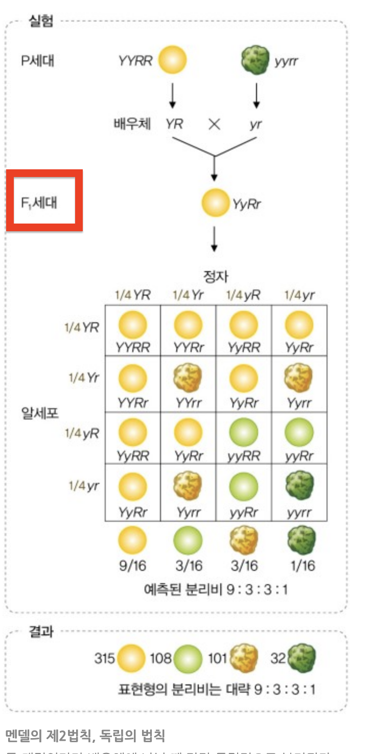 [잡담] 샤이니 키 태명이 F1인데 그 이유가 ㄷㄷ | 인스티즈