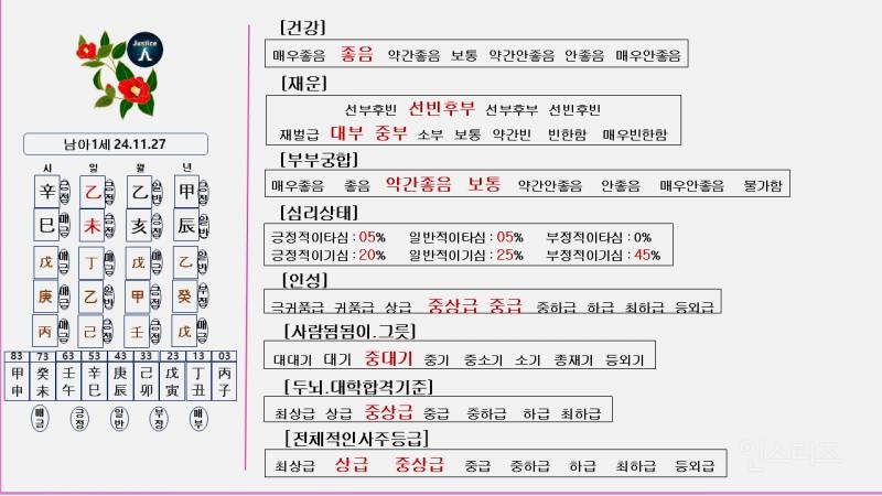 남아1세 사주풀이 | 인스티즈