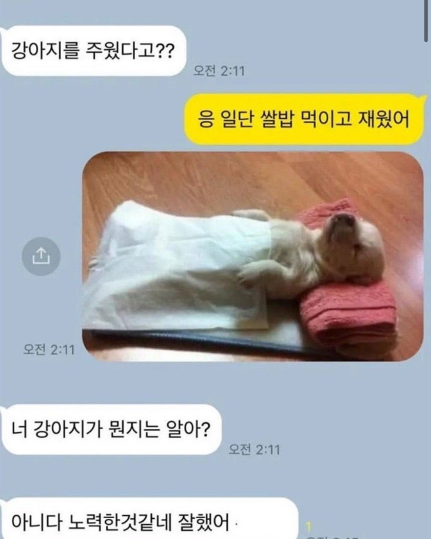 [잡담] 강아지가 이렇게 실제로 누워서 잘 수 있어??? | 인스티즈