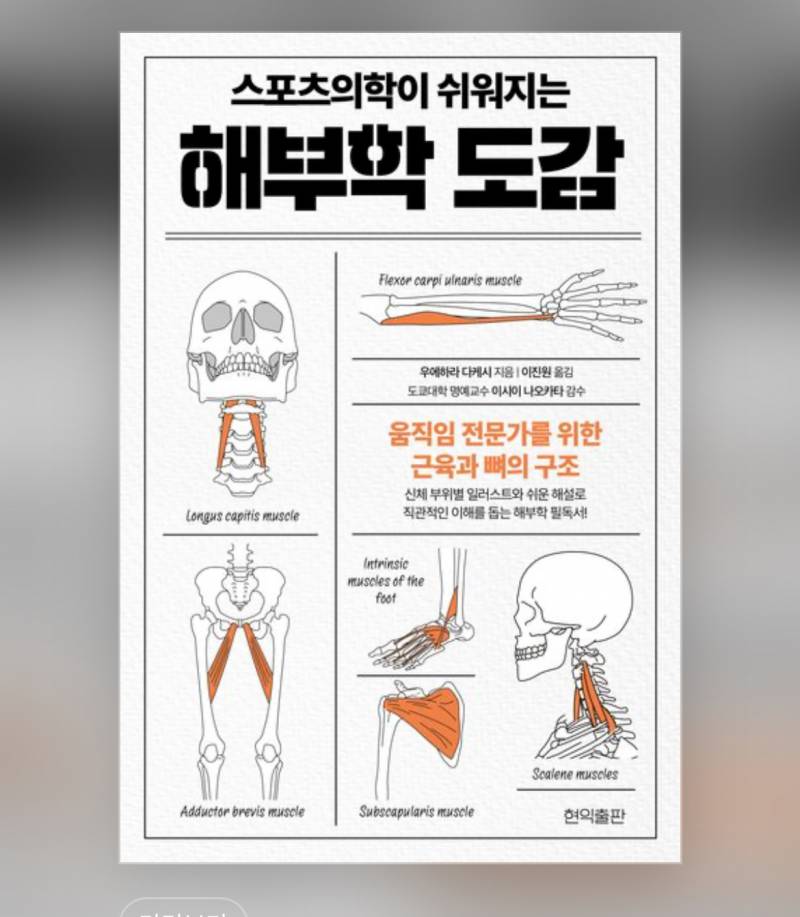 [잡담] 혹시 물리치료 재학중이거나 현직인 사람들 있을까...?? | 인스티즈