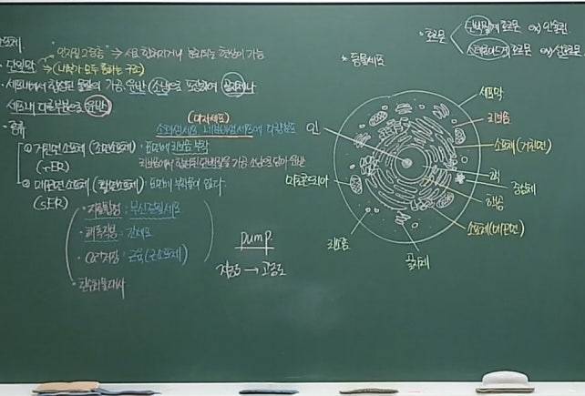 [잡담] 얘들아 이정도는 노력으로 힘들거같아? | 인스티즈