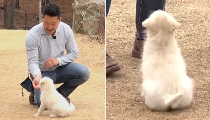 [잡담] 소희 앉아에 반응하는 강아지 같오 | 인스티즈