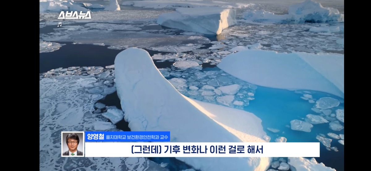 [정보/소식] 전세계적으로 최대 390% 늘고 기후변화로 한국에서도 길쥐가 많이 늘어날꺼라함 | 인스티즈