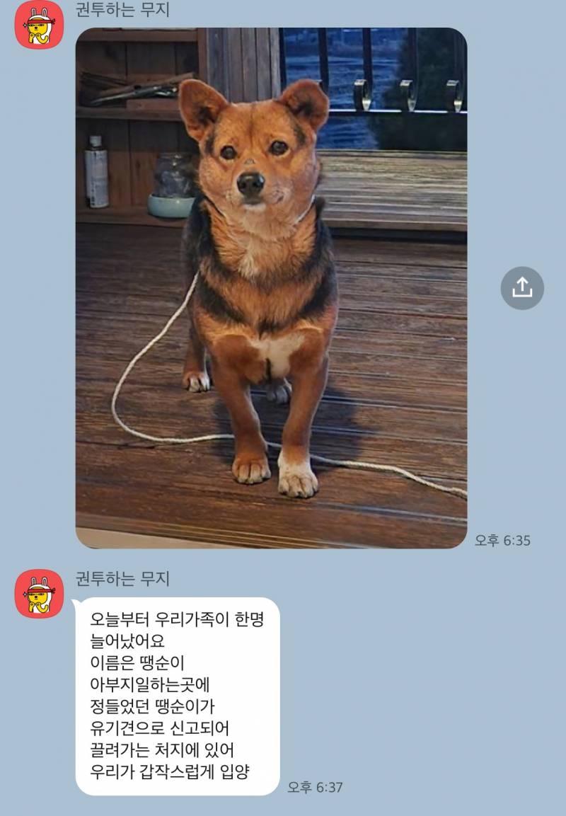 [잡담] 뭐야 본가에 갑자기 강아지 델꼬왔대 | 인스티즈