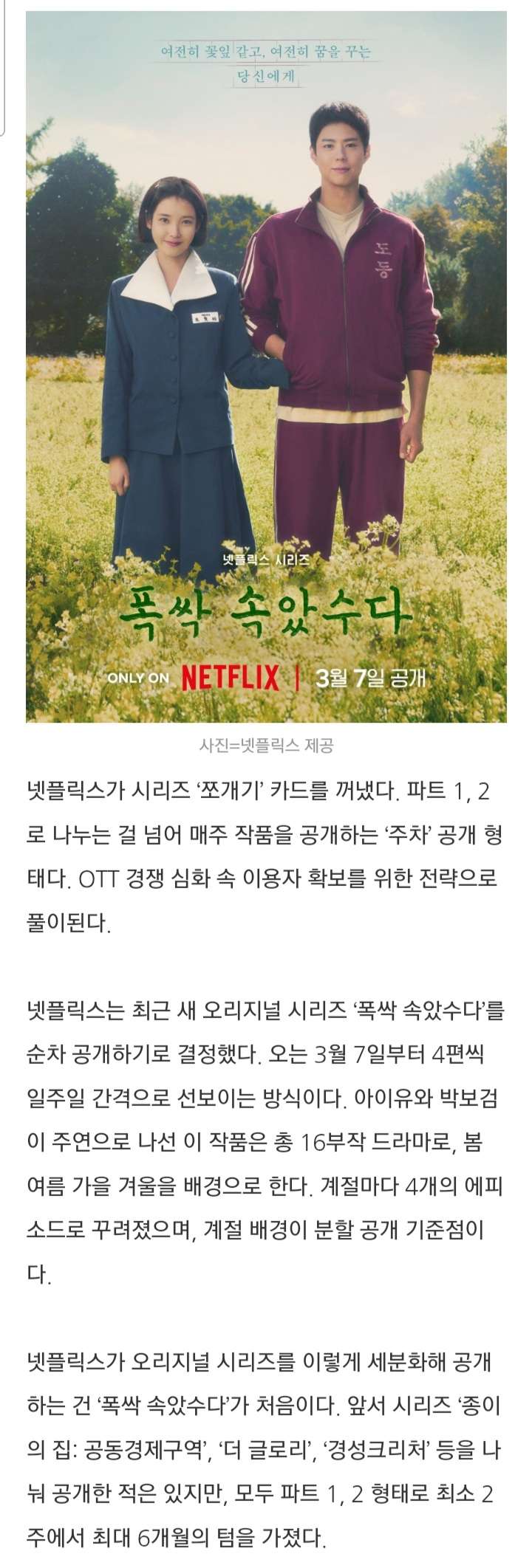 [마플] '폭싹 속았수다' 오리지널 최초 순차 공개 | 인스티즈