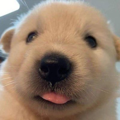[잡담] 정우 애기 때 사진 있잖아 | 인스티즈