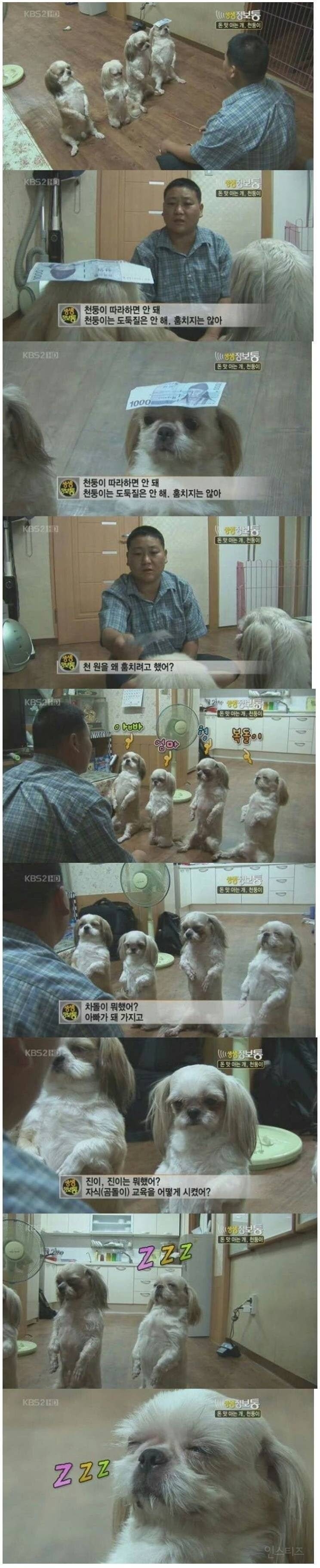  천원 훔쳐서 온가족이 혼남1