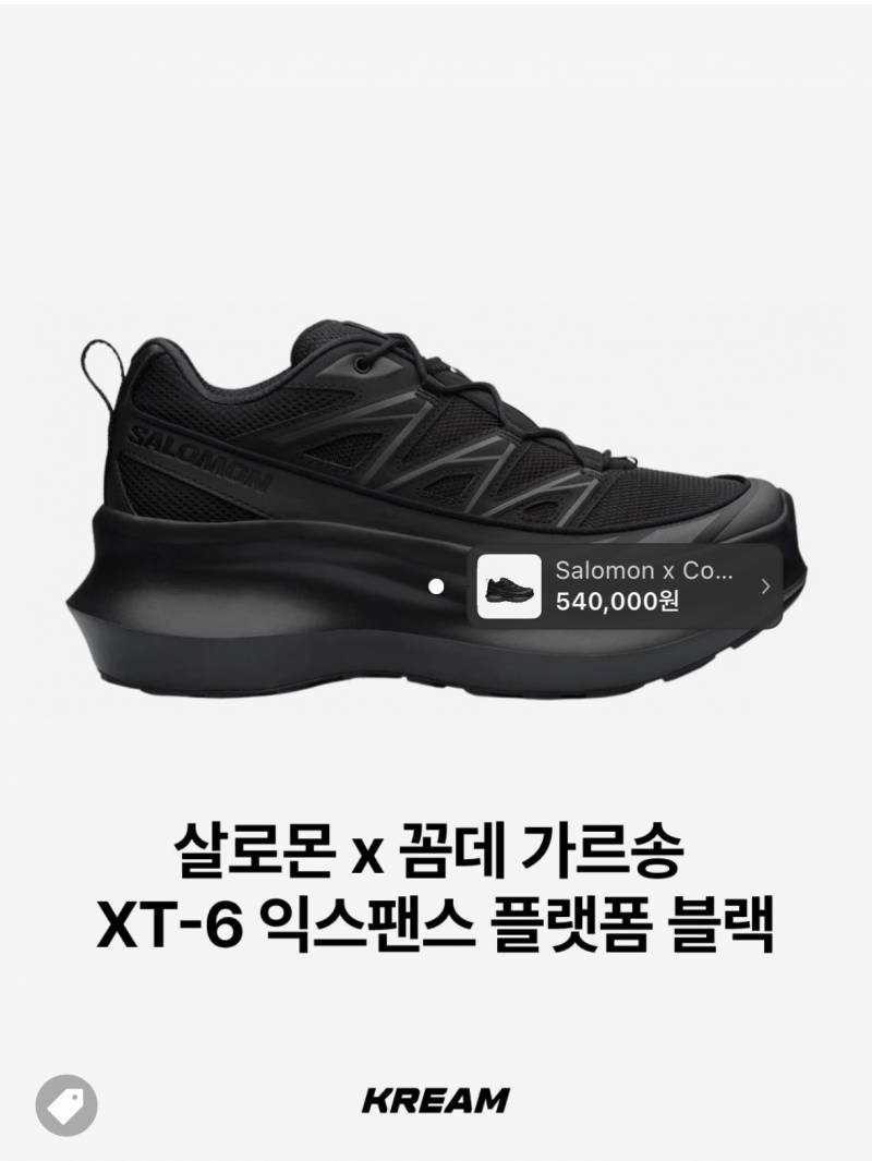 스탠딩에 신고 가면 눈초리 받는다는 신발.JPG | 인스티즈
