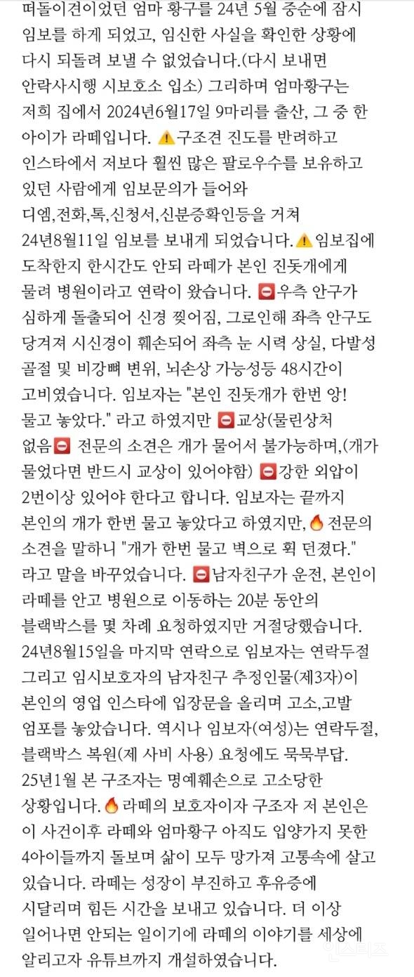  입양된지 한시간만에 두눈이 실명된 아기강아지 라떼를 도와주자