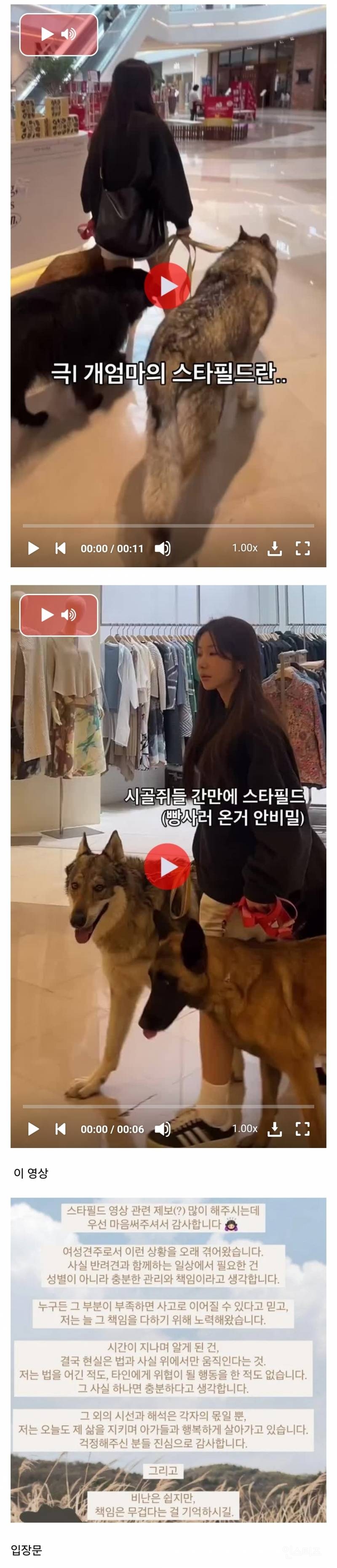  인스타에서 난리난 늑대개 입마개.jpg7