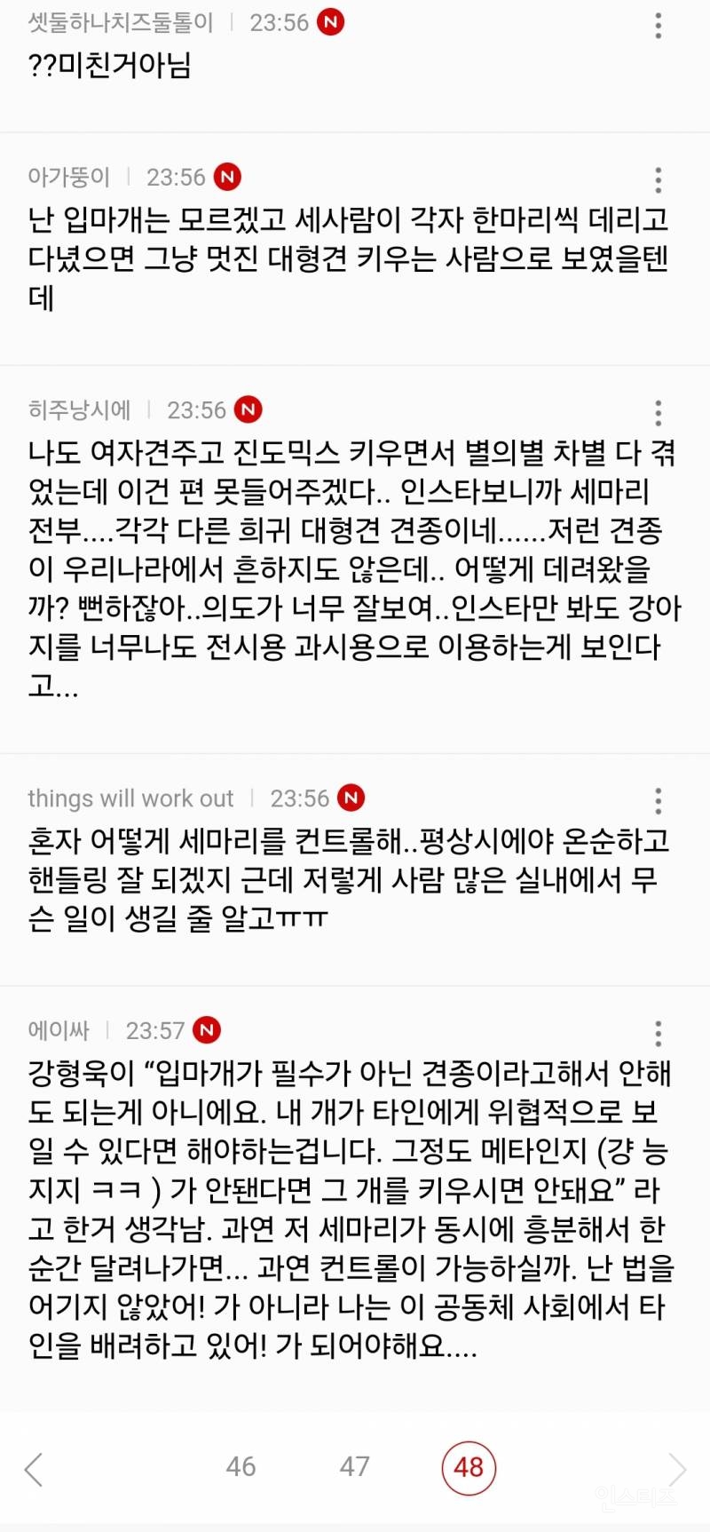 인스타에서 난리난 늑대개 입마개.jpg | 인스티즈