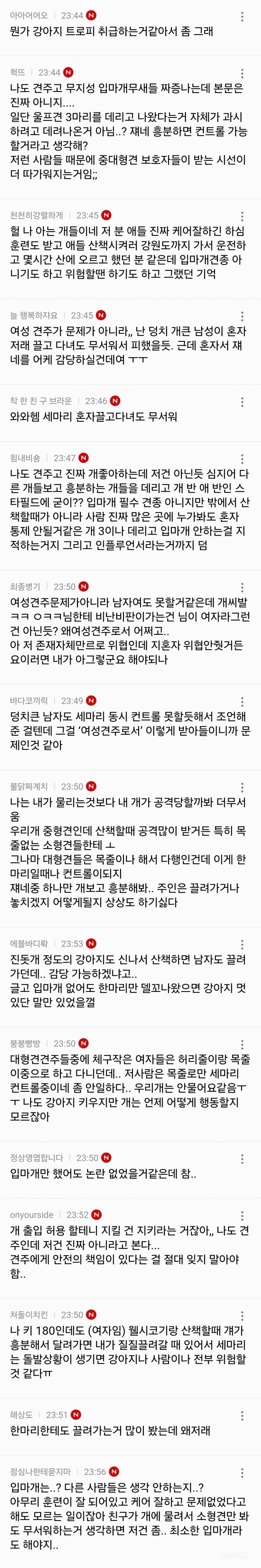 인스타에서 난리난 늑대개 입마개.jpg | 인스티즈