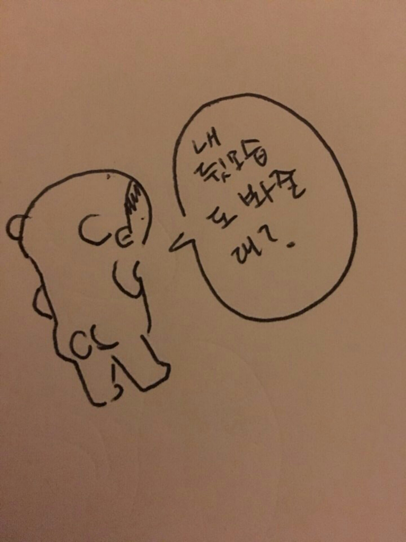 타팬들도 소장욕구 오게 하는 엑소 카이 앨범 사양(예쁨주의) | 인스티즈