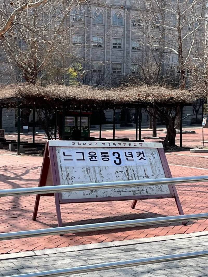봄이 온 고려대 근황 | 인스티즈