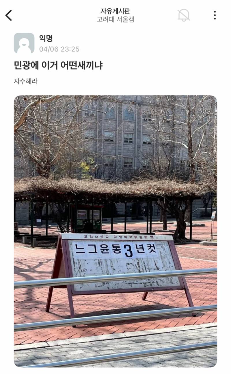 봄이 온 고려대 근황 | 인스티즈