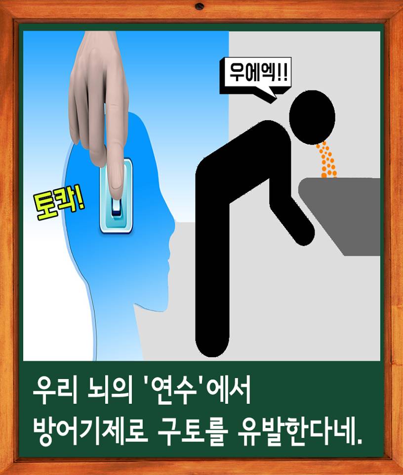 술을 많이 마시면 토하는 이유 jpg | 인스티즈