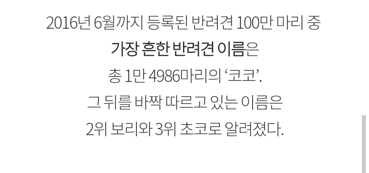 오늘날 가장 흔한 강아지 이름은? 무려 1만 4986마리가 가진 이름 | 인스티즈