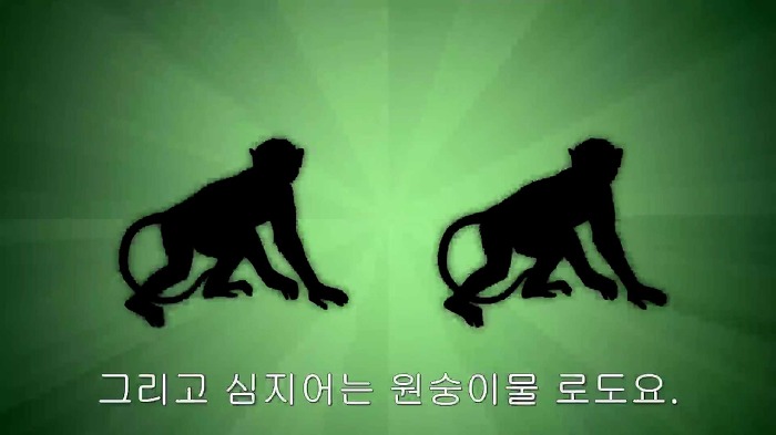 남자와 여자가 야동볼때의 가장 큰 차이점.jpg +개흥미돋 해석 추가 | 인스티즈