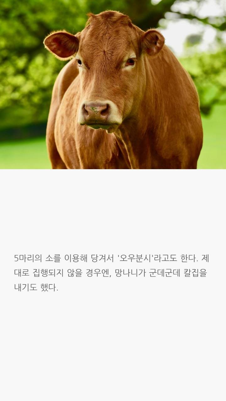 과거에 있었던 끔찍한 형벌들 | 인스티즈