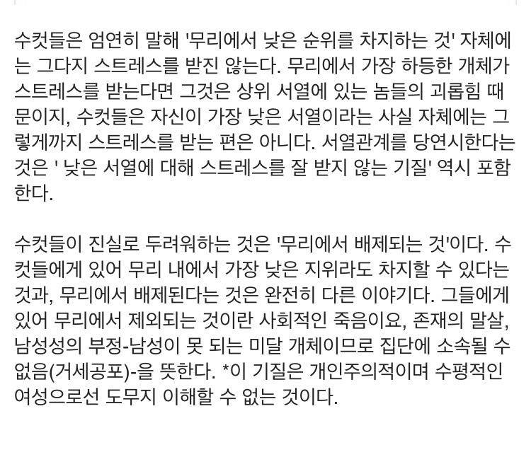 여자의 적은 여자? 남자들의 서열 문화 (서열 낮은 남자 만나면 안되는 이유) | 인스티즈