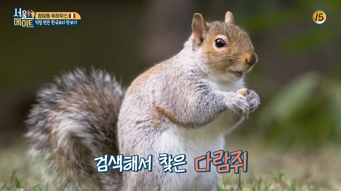 [서울메이트] 프랑스 친구들한테 도토리묵 설명하는 김숙ㅋㅋㅋ | 인스티즈