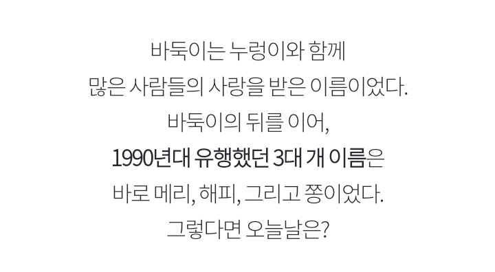 오늘날 가장 흔한 강아지 이름은? 무려 1만 4986마리가 가진 이름 | 인스티즈