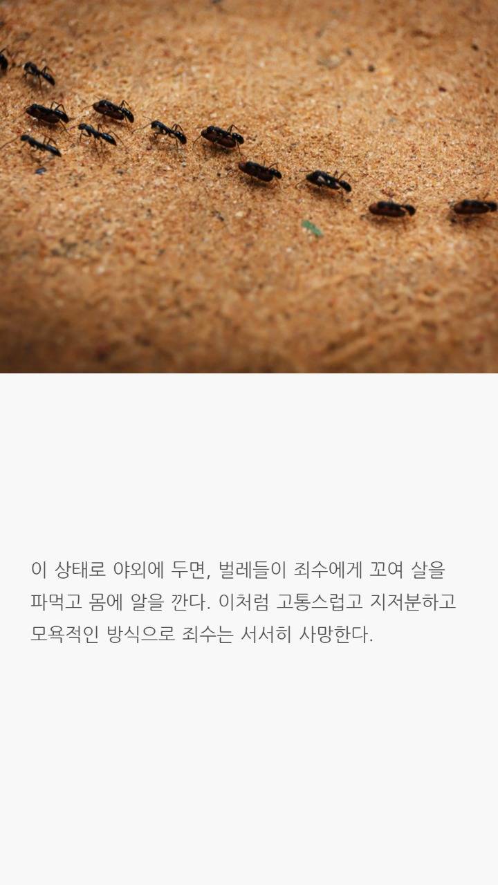 과거에 있었던 끔찍한 형벌들 | 인스티즈