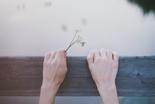 강물이 마르고 별이 무너져 내려도 너의 장밋빛 인생을 내가 기억할게 | 인스티즈