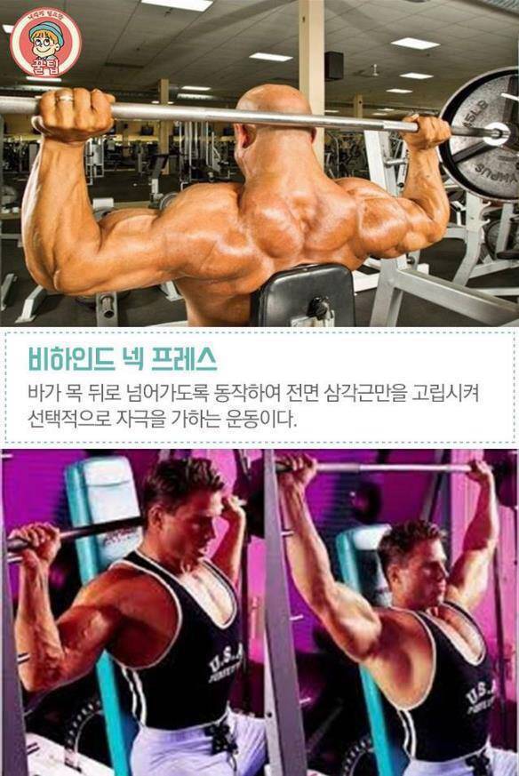 어깨 넓어지는 운동법 | 인스티즈