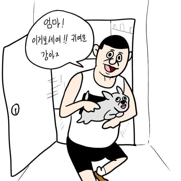 떠돌이 강아지를 데려오면 생기는 일 | 인스티즈