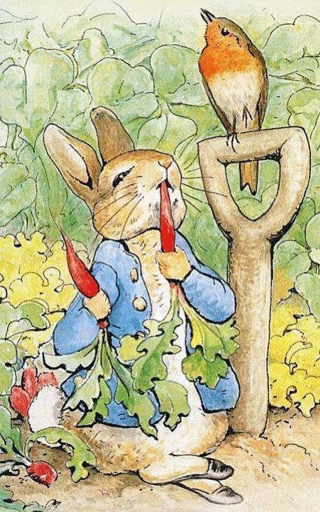 동화를 발레로 영국 로열 발레단의 &#65308; tales of beatrix potter &#65310; | 인스티즈