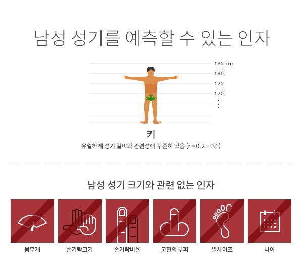 남성성기 크기를 유일하게 예측할 수 있는 기준 - 인스티즈(Instiz) 인티포털 카테고리