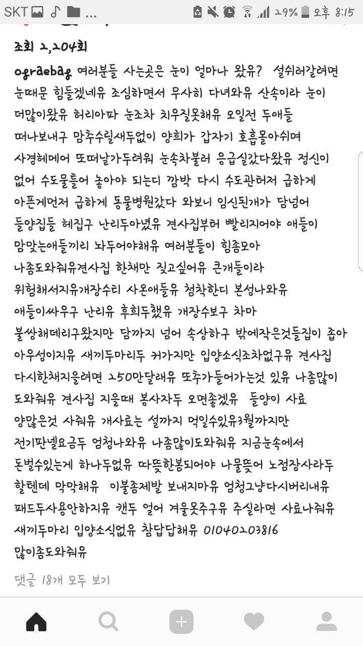 설 편하게 보내려고 박옥래할머니에게 강아지버리고 갔음 (다들한번만봐주라 인기글가게 도와줘) | 인스티즈