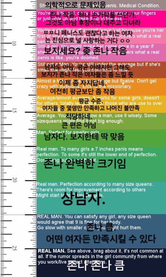 서양녀들이 생각하는 남자 성기 사이즈 | 인스티즈