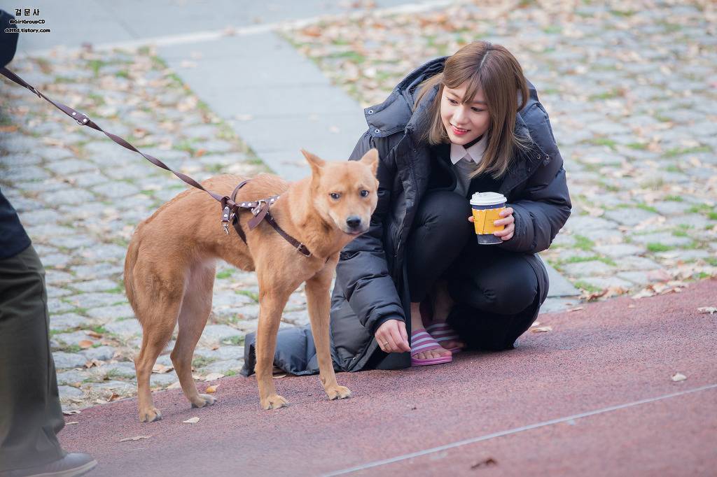 당한 오하영 | 인스티즈