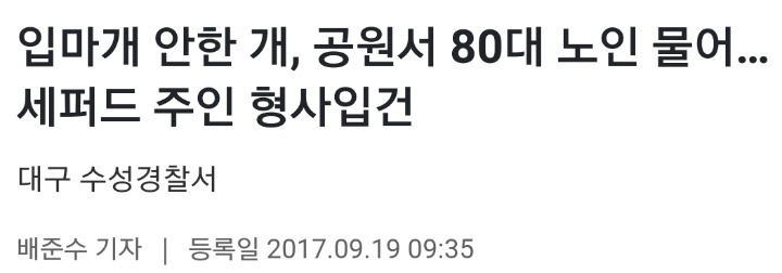 반려견에게 목줄 및 입마개 안하는 견주들 신고하자!! | 인스티즈