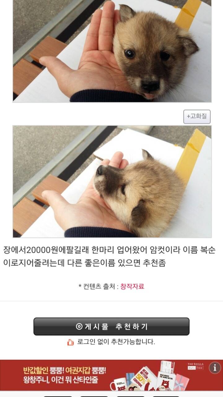 강아지 이름 바꾼다.jpg | 인스티즈